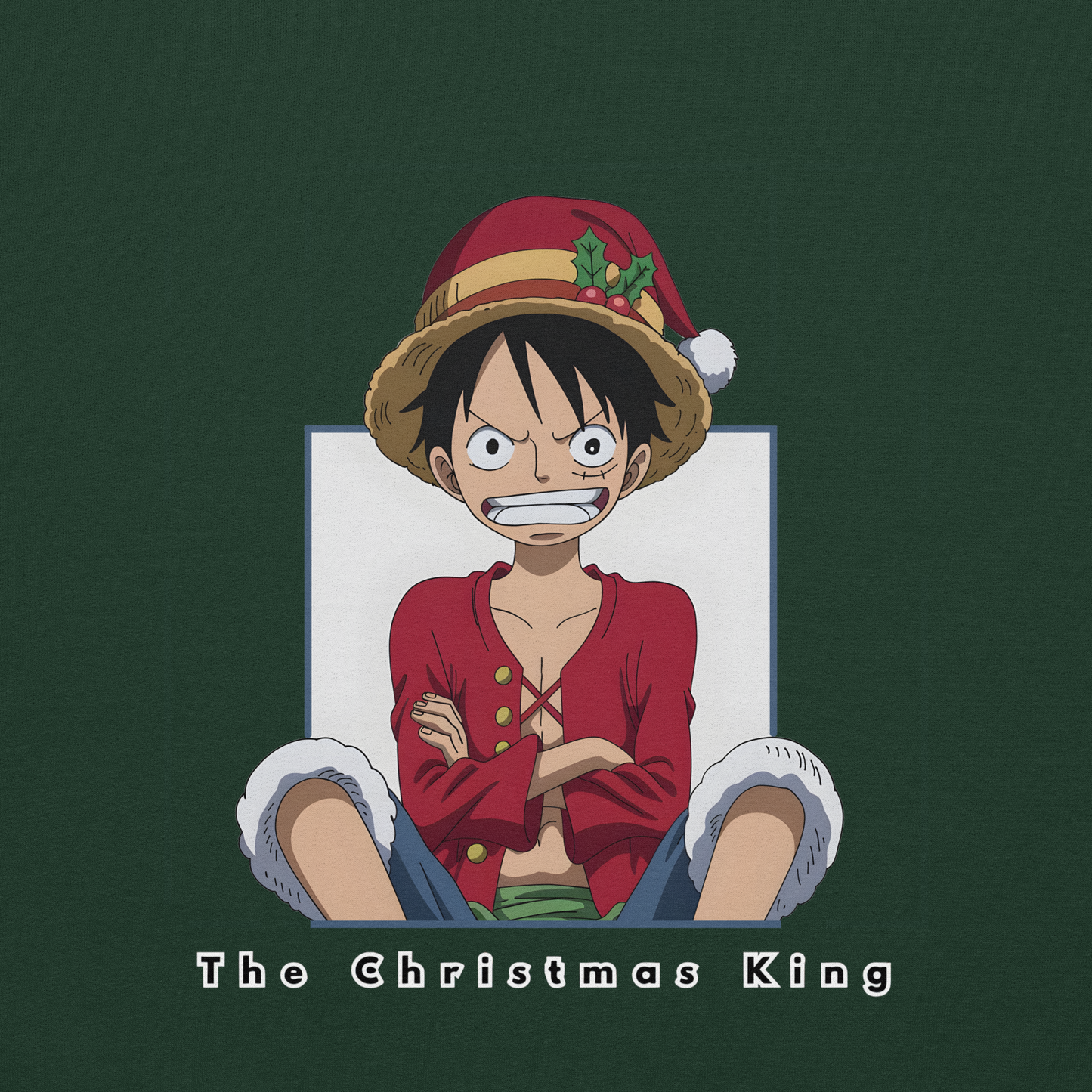 Luffy's Christmas